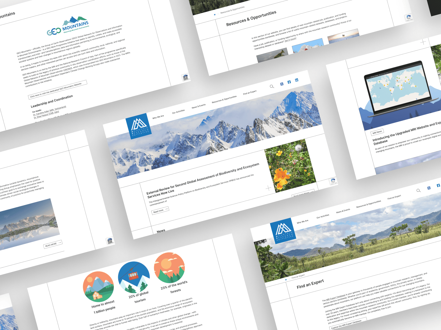 Bildcollage der neuen MRI-Website auf verschiedenen Geräten